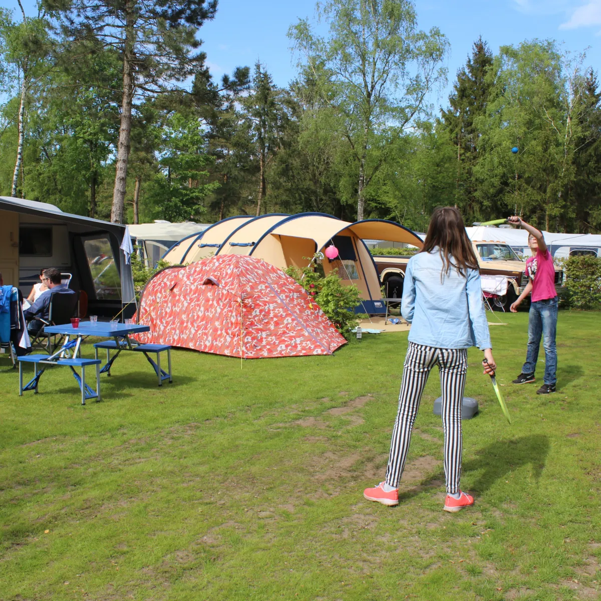 Comfort plaats Camping de Zandhegge H 38 1