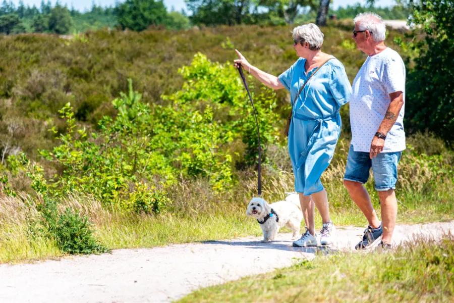 Wandelen met de hond