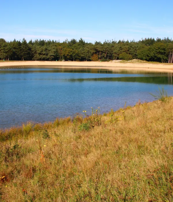 Zandenplas Nunspeet 1