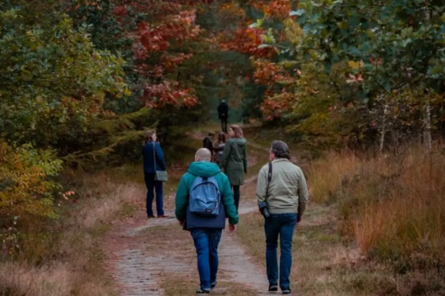 Herfstwandeling
